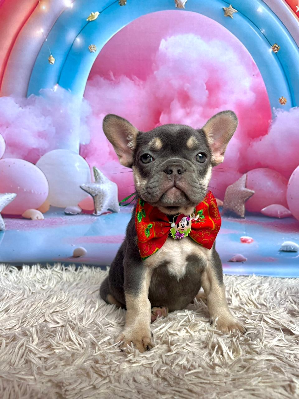 WhatsApp Image 2025-11-16 at 14.19.37.jpeg