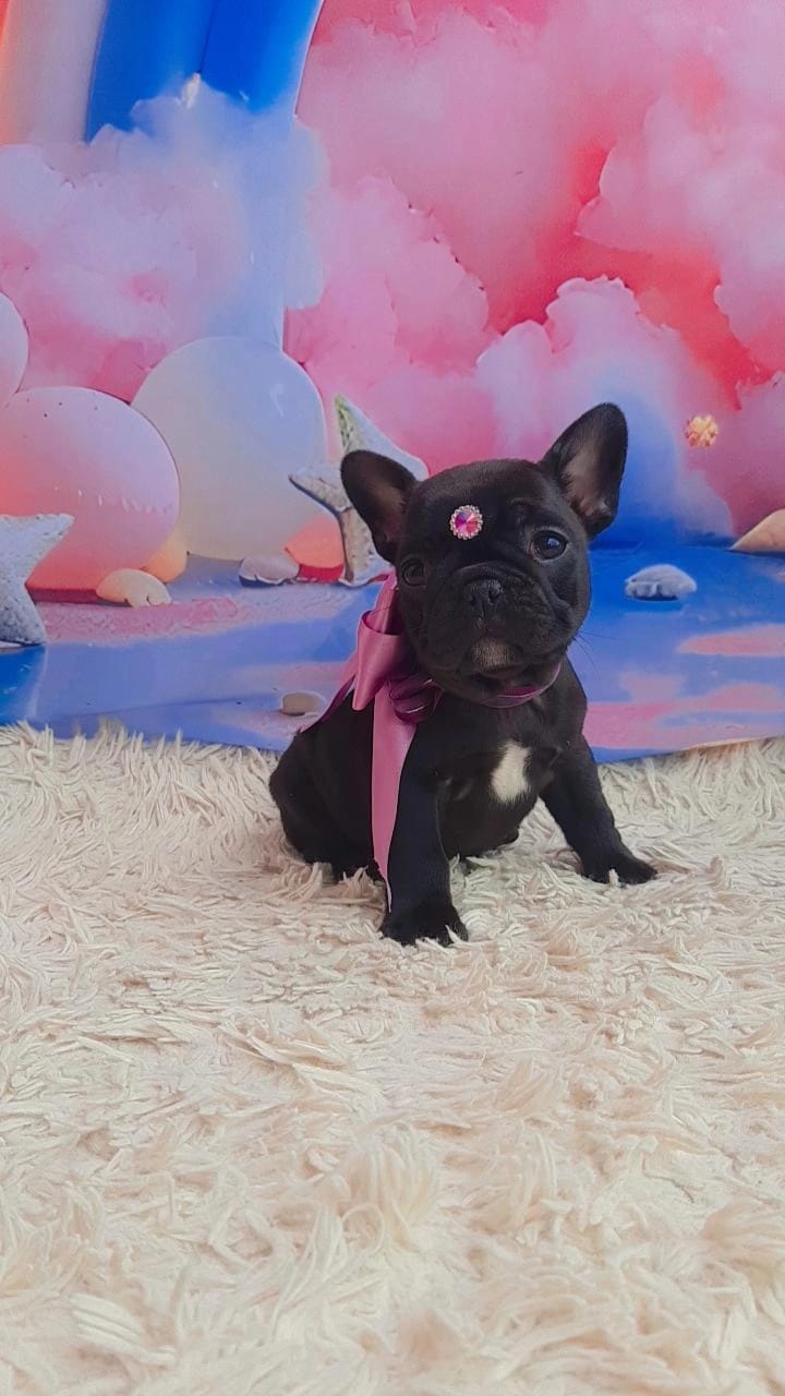 WhatsApp Image 2025-11-16 at 14.20.14 (1).jpeg