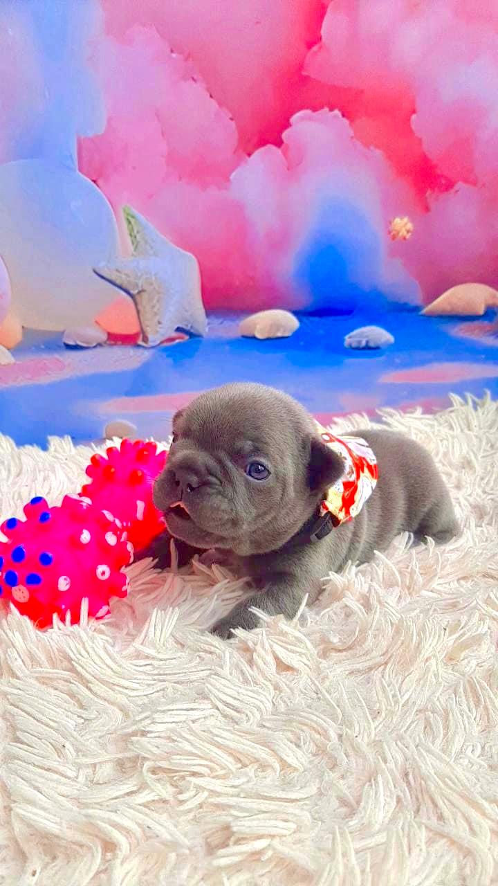 WhatsApp Image 2025-09-24 at 16.09.02 (1).jpeg