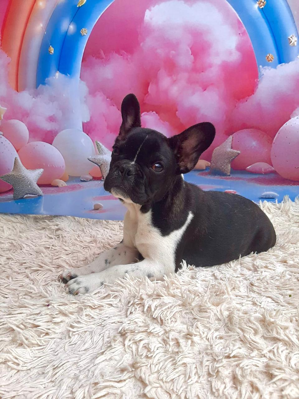 WhatsApp Image 2025-09-24 at 16.09.03.jpeg