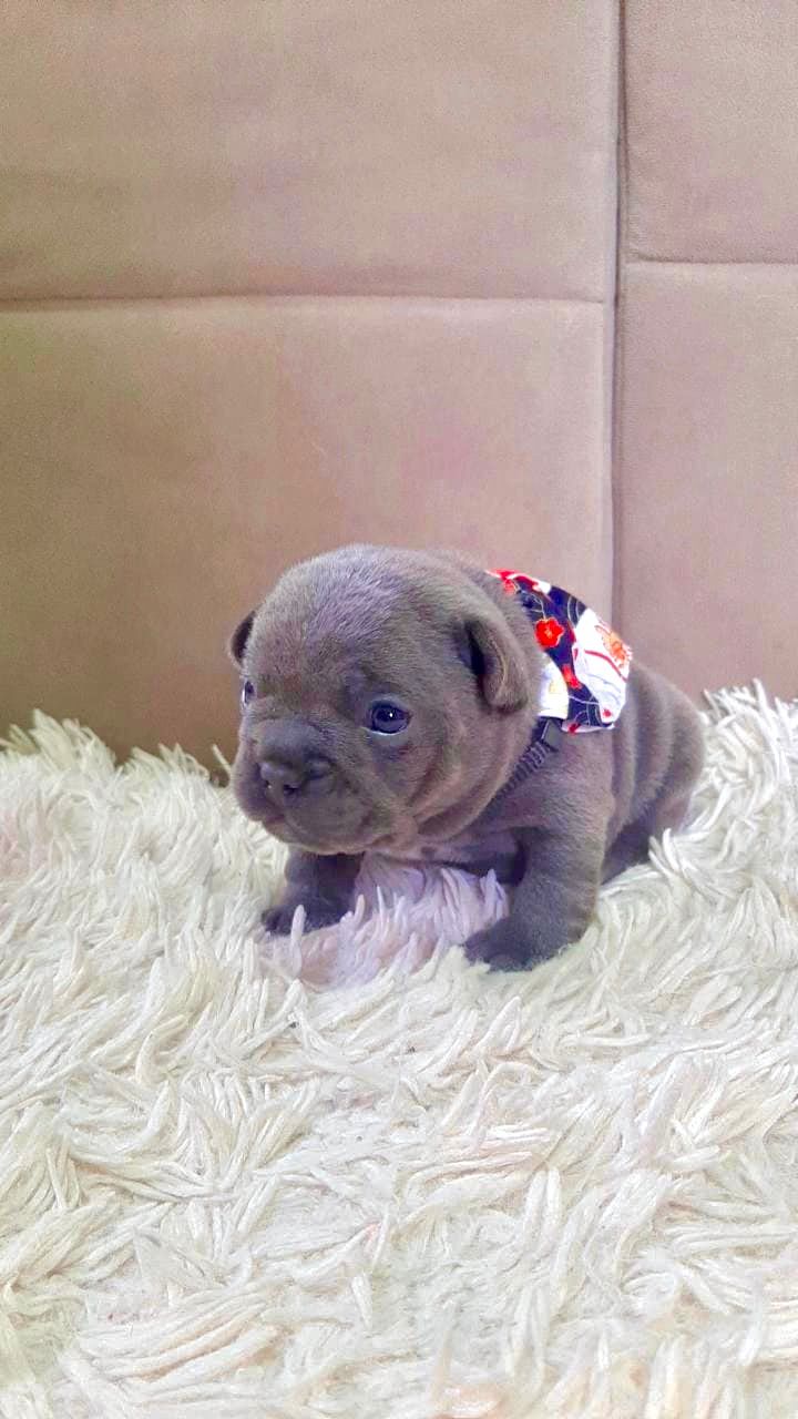 WhatsApp Image 2025-09-24 at 16.09.23 (1).jpeg