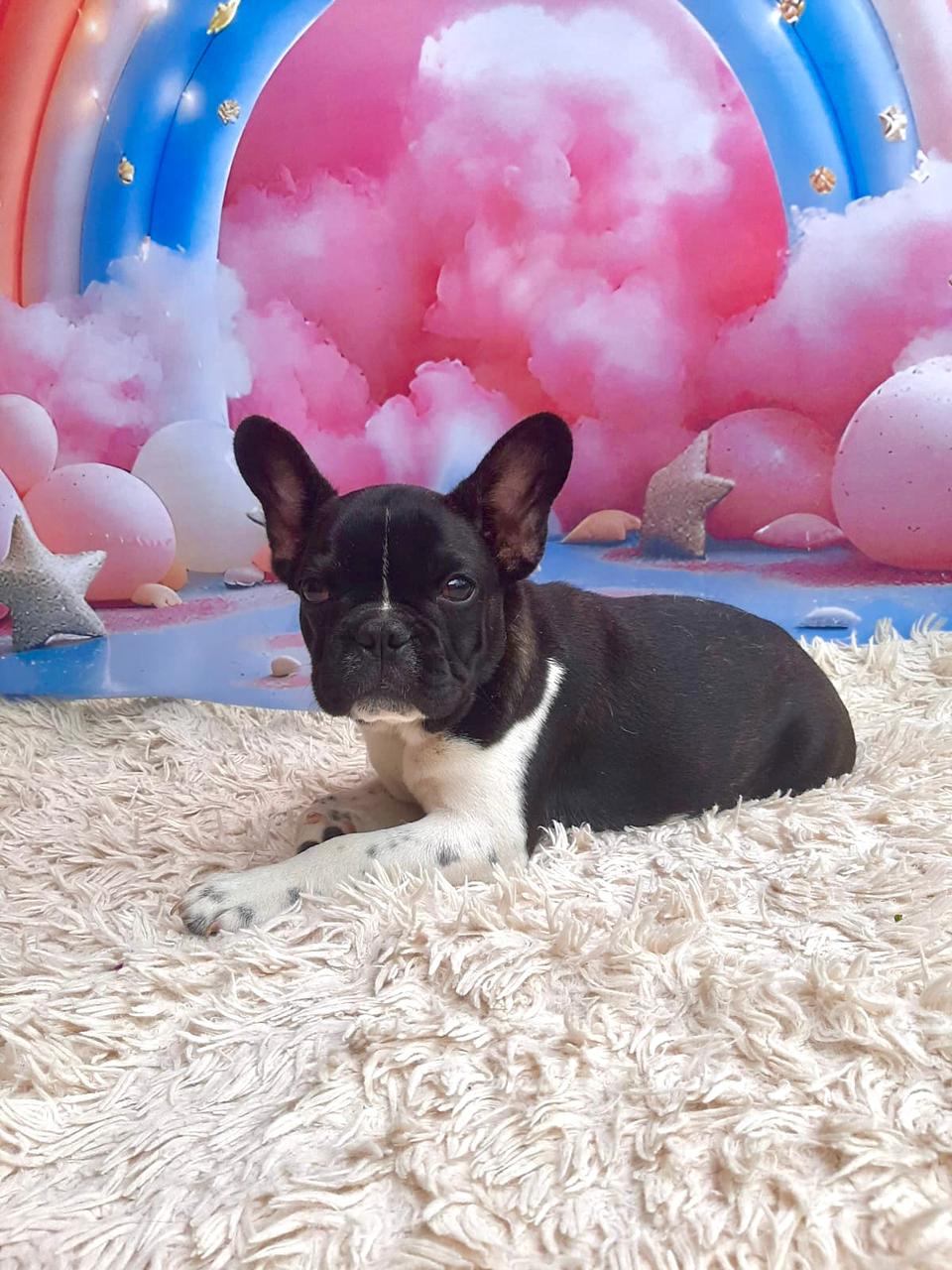 WhatsApp Image 2025-09-24 at 16.09.03 (2).jpeg