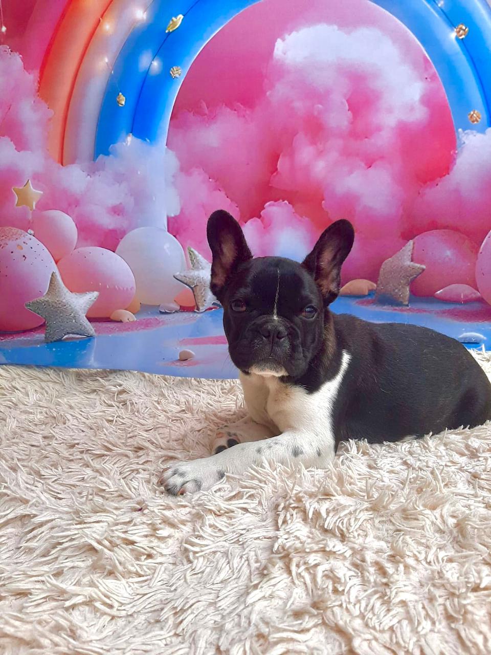 WhatsApp Image 2025-09-24 at 16.09.03 (3).jpeg