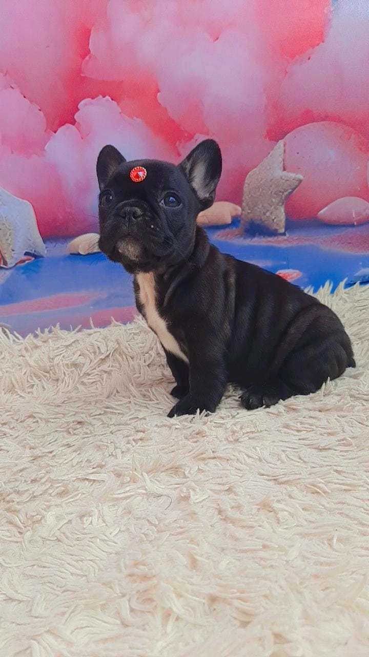 WhatsApp Image 2025-11-16 at 14.20.15.jpeg