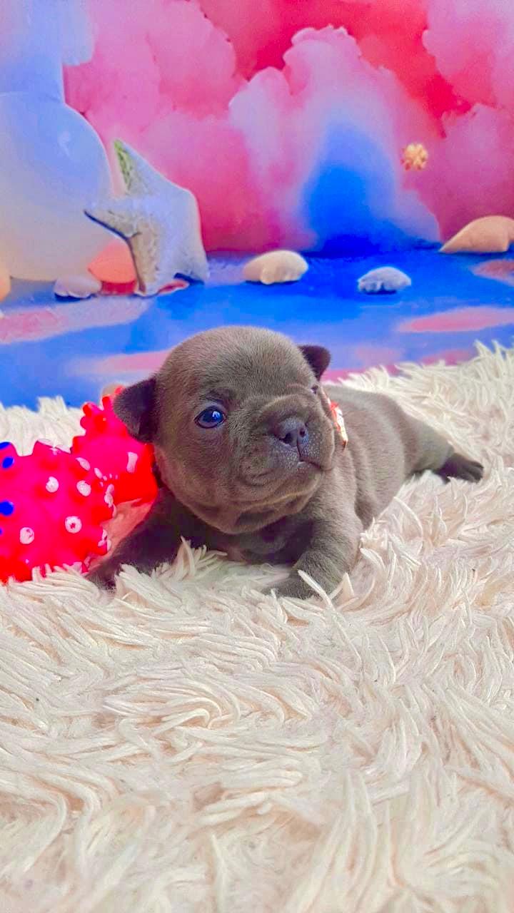 WhatsApp Image 2025-09-24 at 16.09.04.jpeg