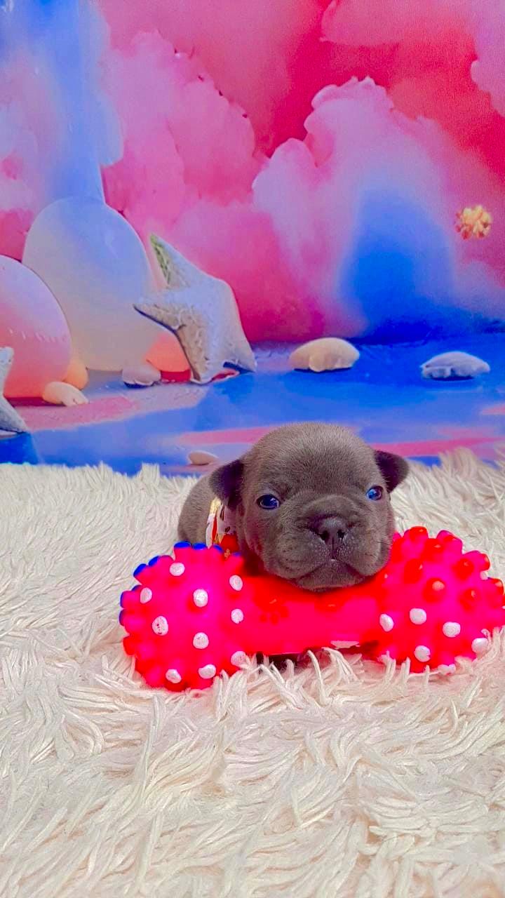 WhatsApp Image 2025-09-24 at 16.09.02.jpeg