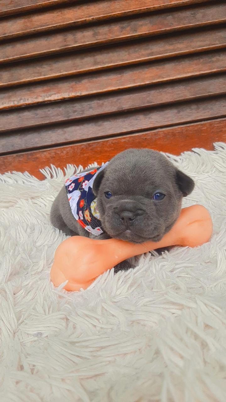 WhatsApp Image 2025-09-24 at 16.09.23.jpeg