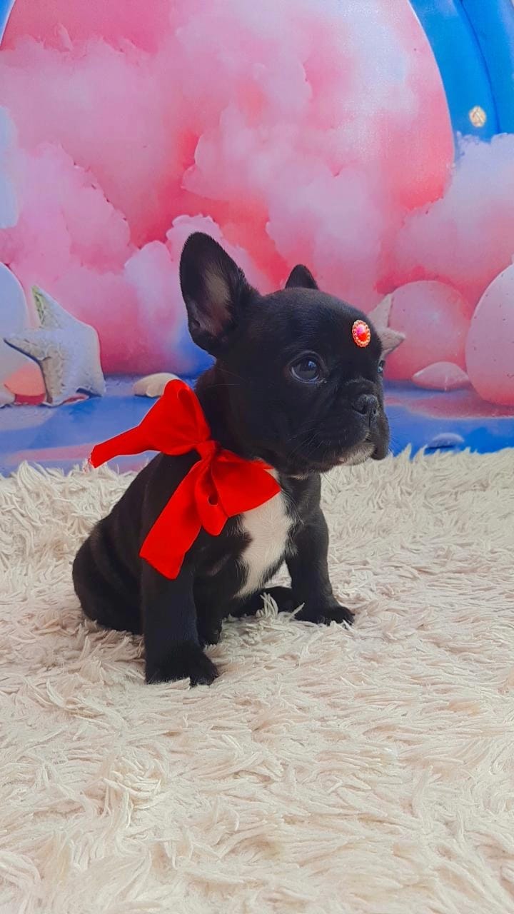 WhatsApp Image 2025-11-16 at 14.20.14.jpeg