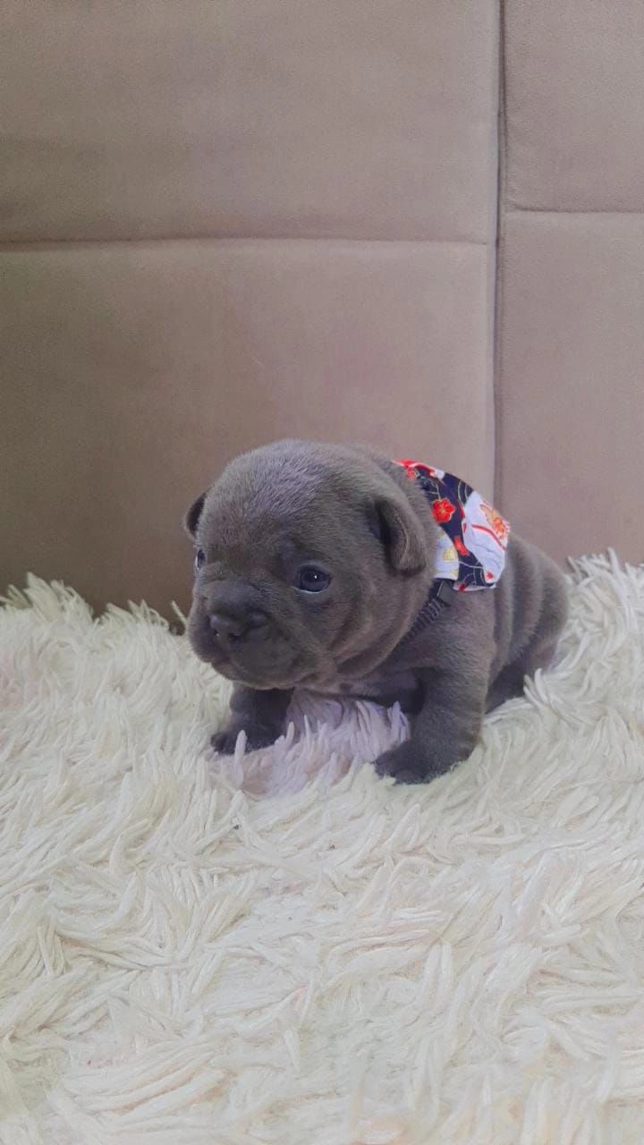 WhatsApp Image 2025-09-24 at 16.09.24 (1).jpeg