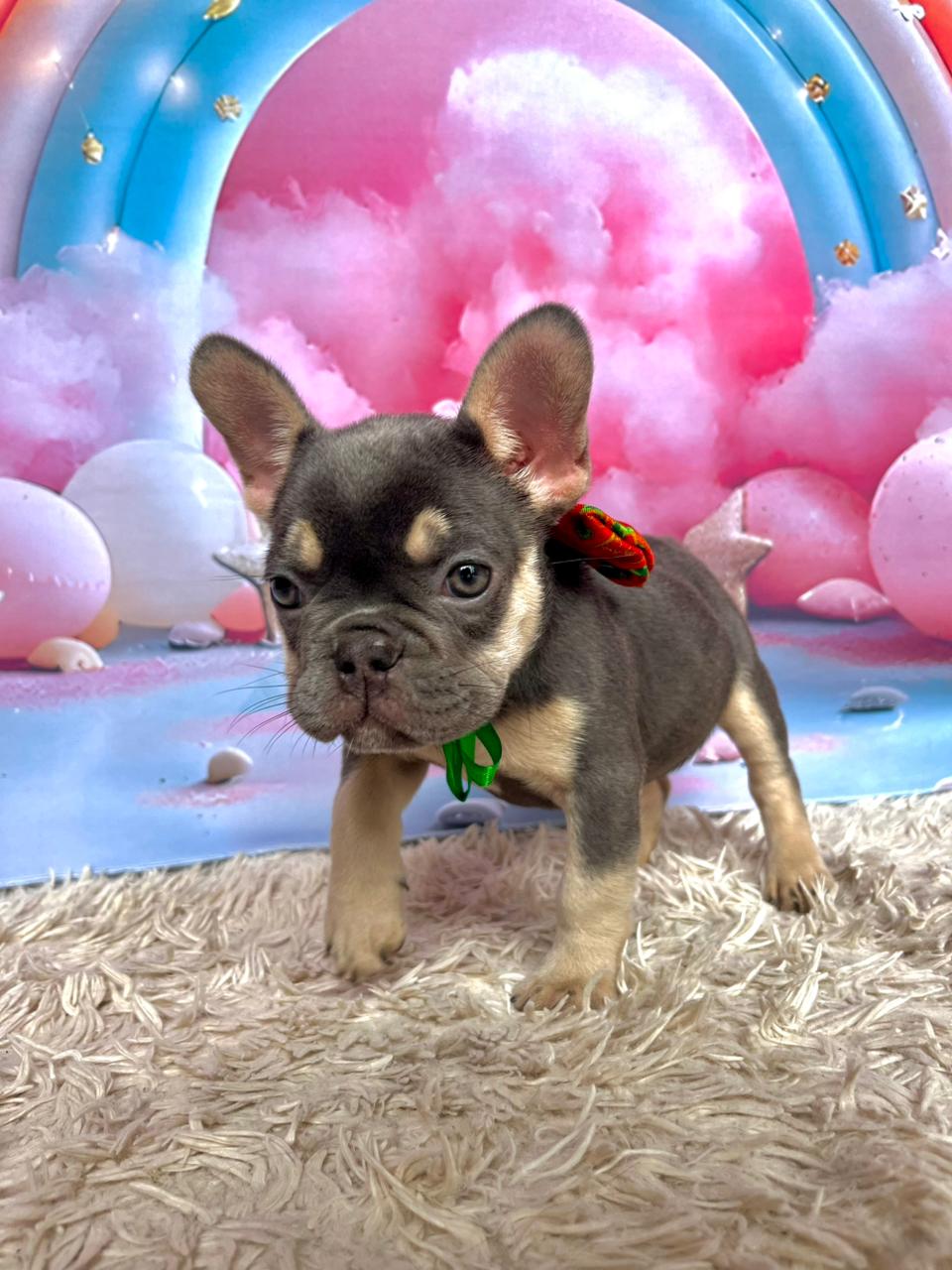 WhatsApp Image 2025-11-16 at 14.19.39 (1).jpeg