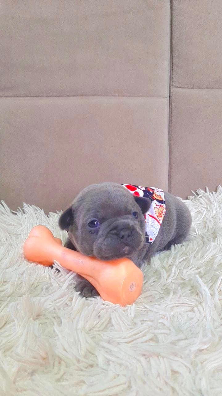 WhatsApp Image 2025-09-24 at 16.09.24.jpeg