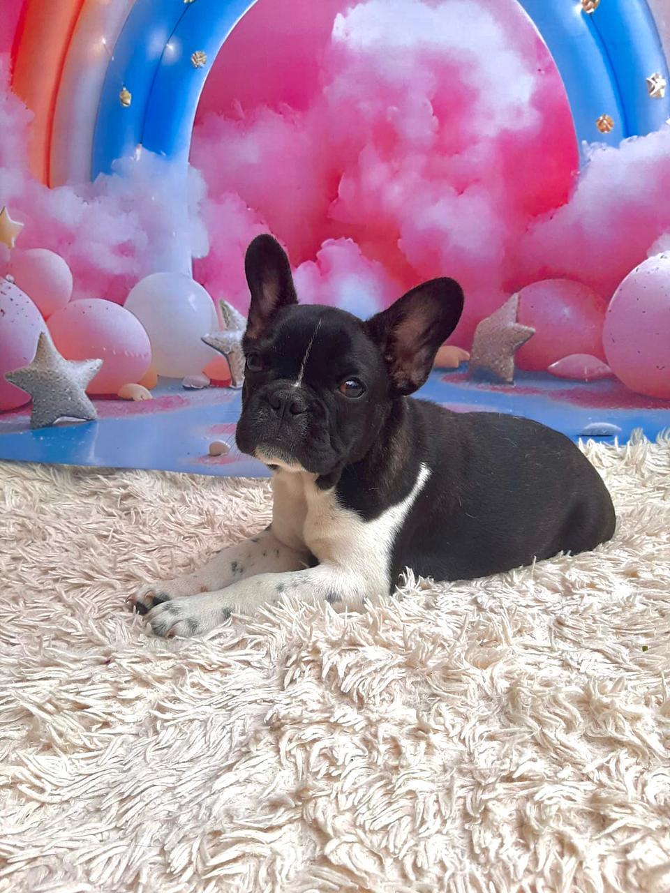 WhatsApp Image 2025-09-24 at 16.09.03 (1).jpeg