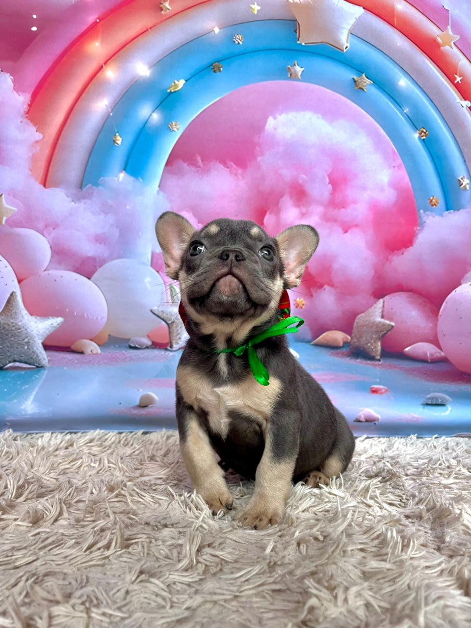 WhatsApp Image 2025-11-16 at 14.19.38 (2).jpeg