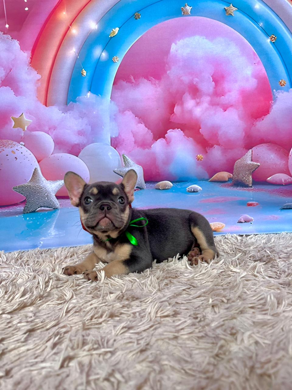 WhatsApp Image 2025-11-16 at 14.19.39.jpeg