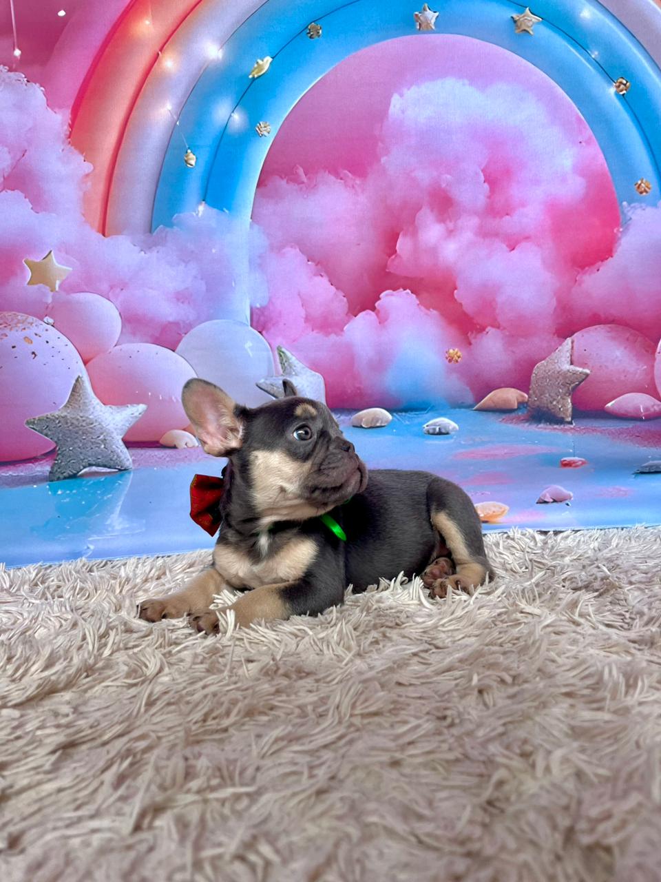 WhatsApp Image 2025-11-16 at 14.19.38 (1).jpeg