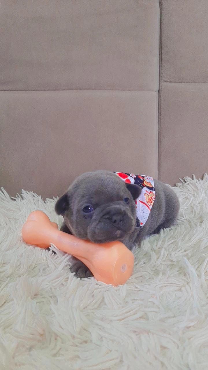 WhatsApp Image 2025-09-24 at 16.09.24 (2).jpeg