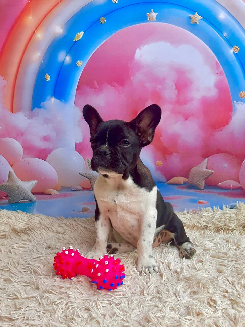 WhatsApp Image 2025-09-24 at 16.09.04 (1).jpeg