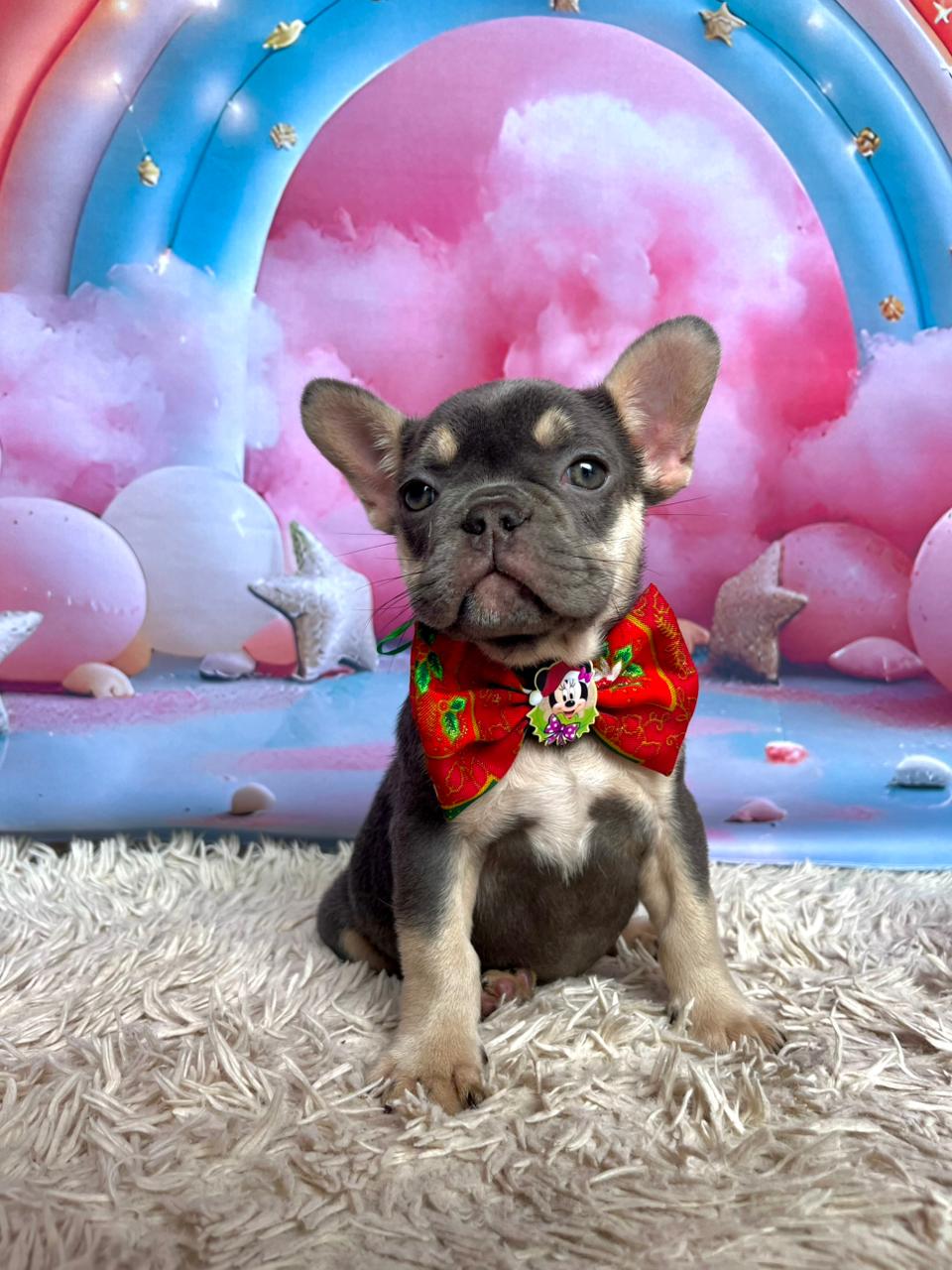 WhatsApp Image 2025-11-16 at 14.19.38.jpeg